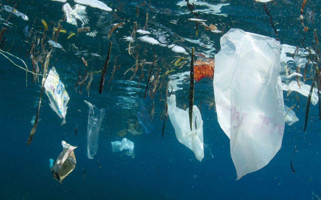 What Is the Great Pacific Garbage Patch?